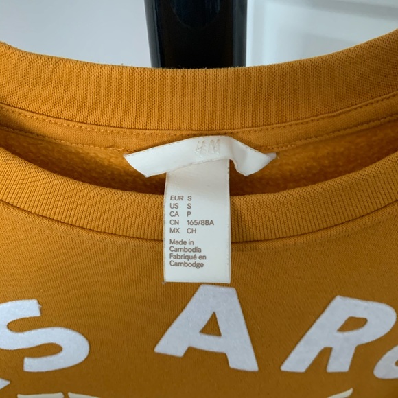 SWEATSHIRT - Picture 2 of 2